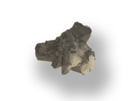 M 04822
<br/>
<br/>
<em></em>